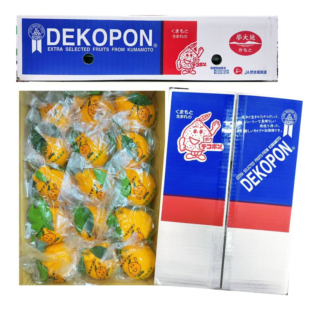 熊本デコポン丑橘/1箱