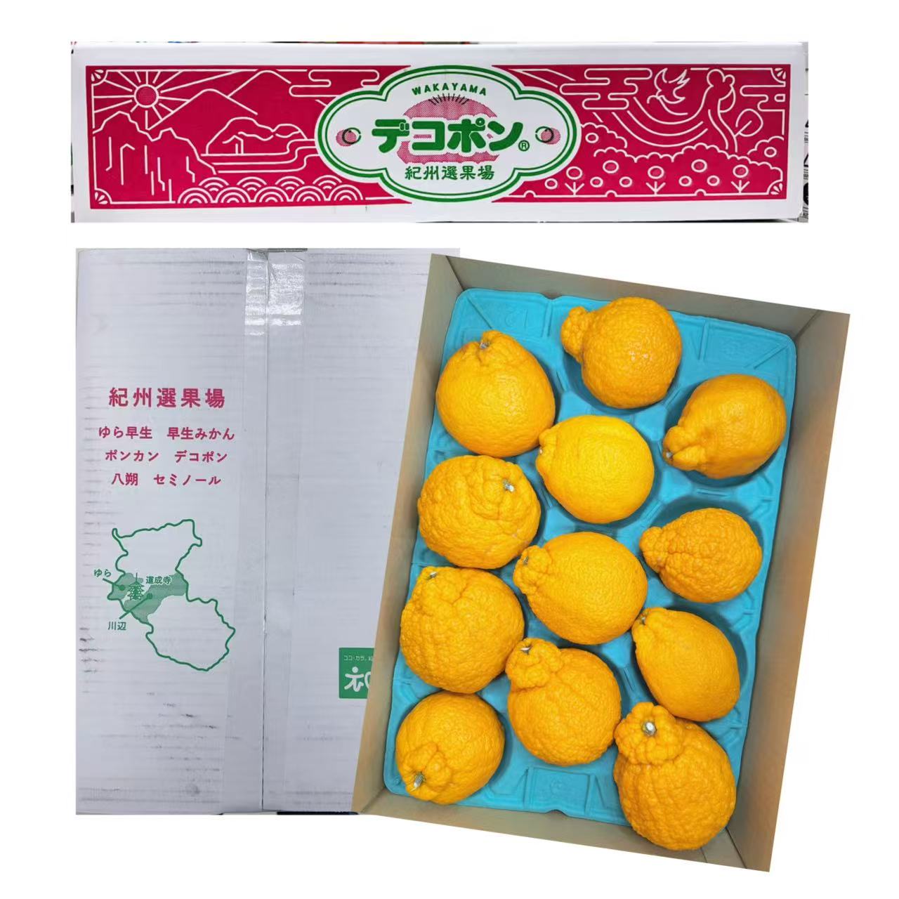 和歌山デコポン丑橘/1箱
