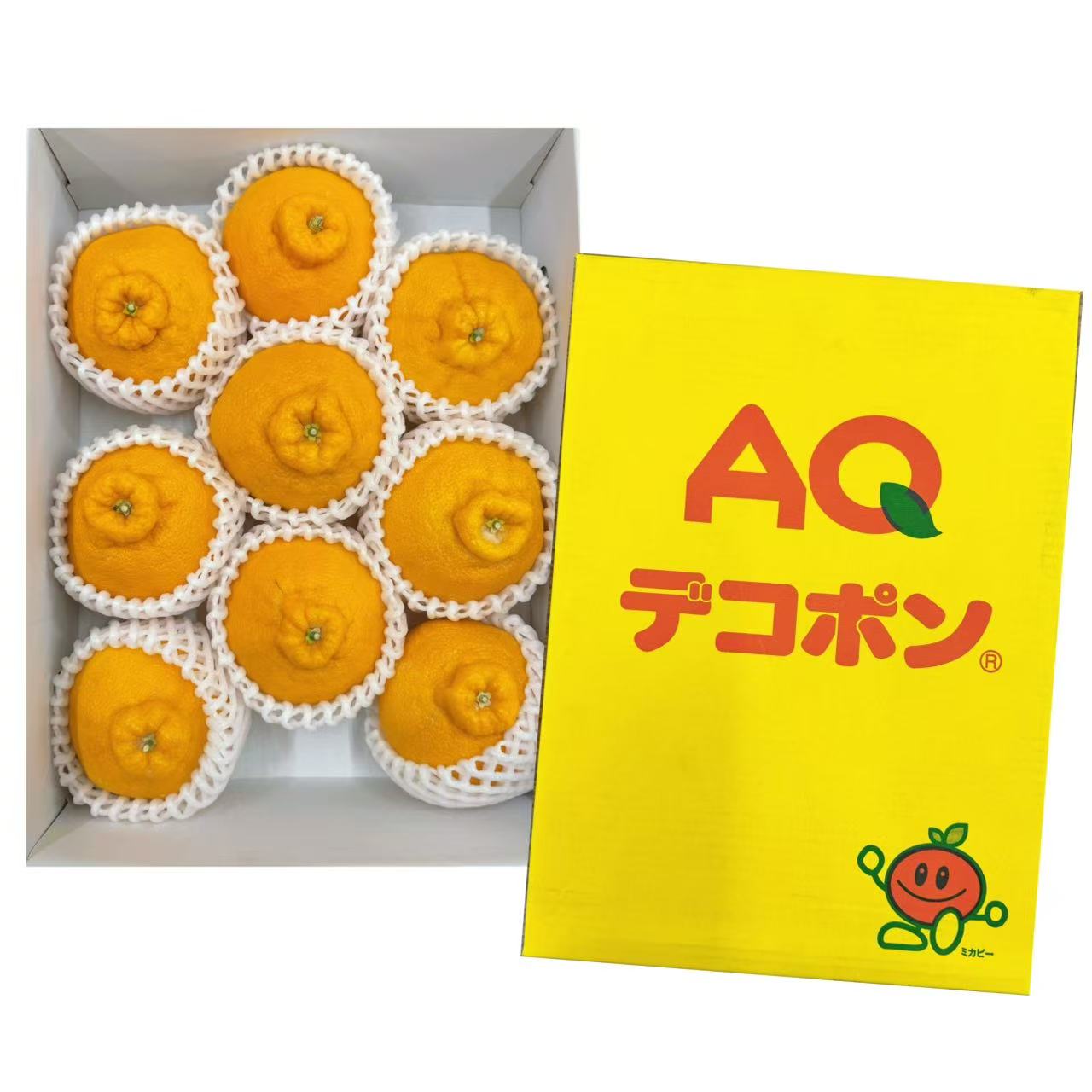 AQデコポン丑橘/1箱