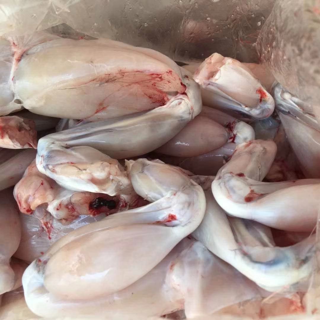 冷凍牛蛙1kg