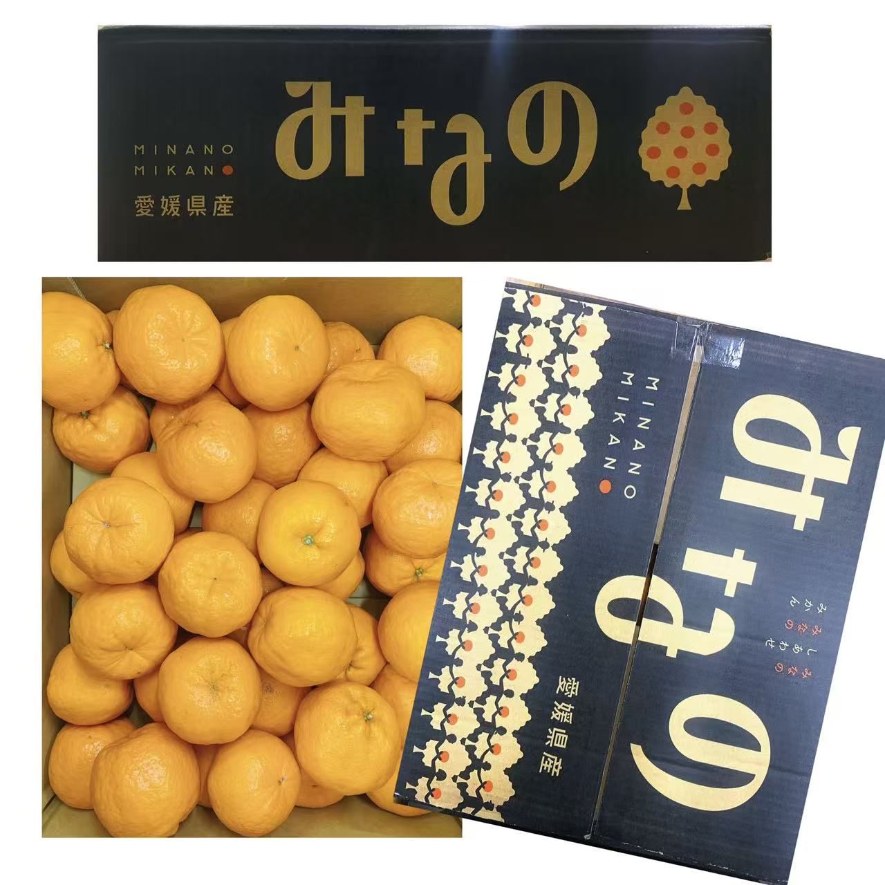 爱媛芦柑橘/1箱