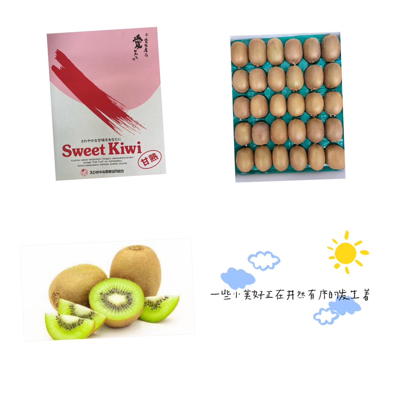 爱媛猕猴桃*绿芯1箱