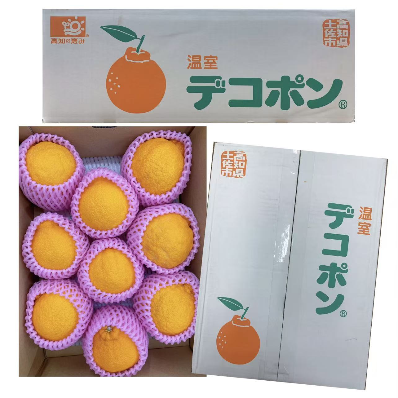 高知デコポン丑橘/1箱