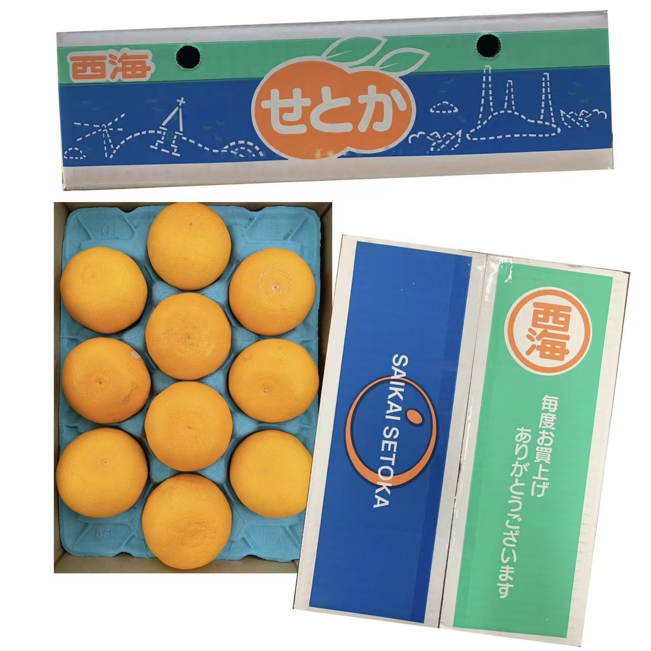 西海せとか/1箱