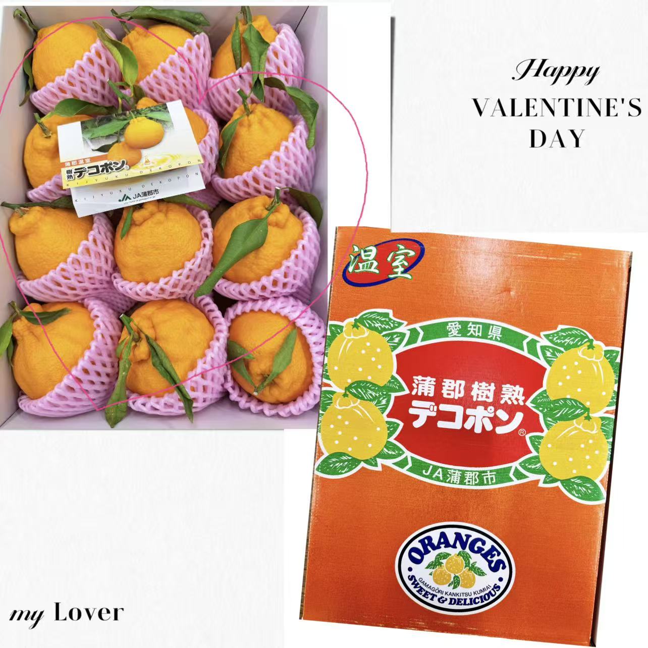 蒲郡树熟デコポン礼盒