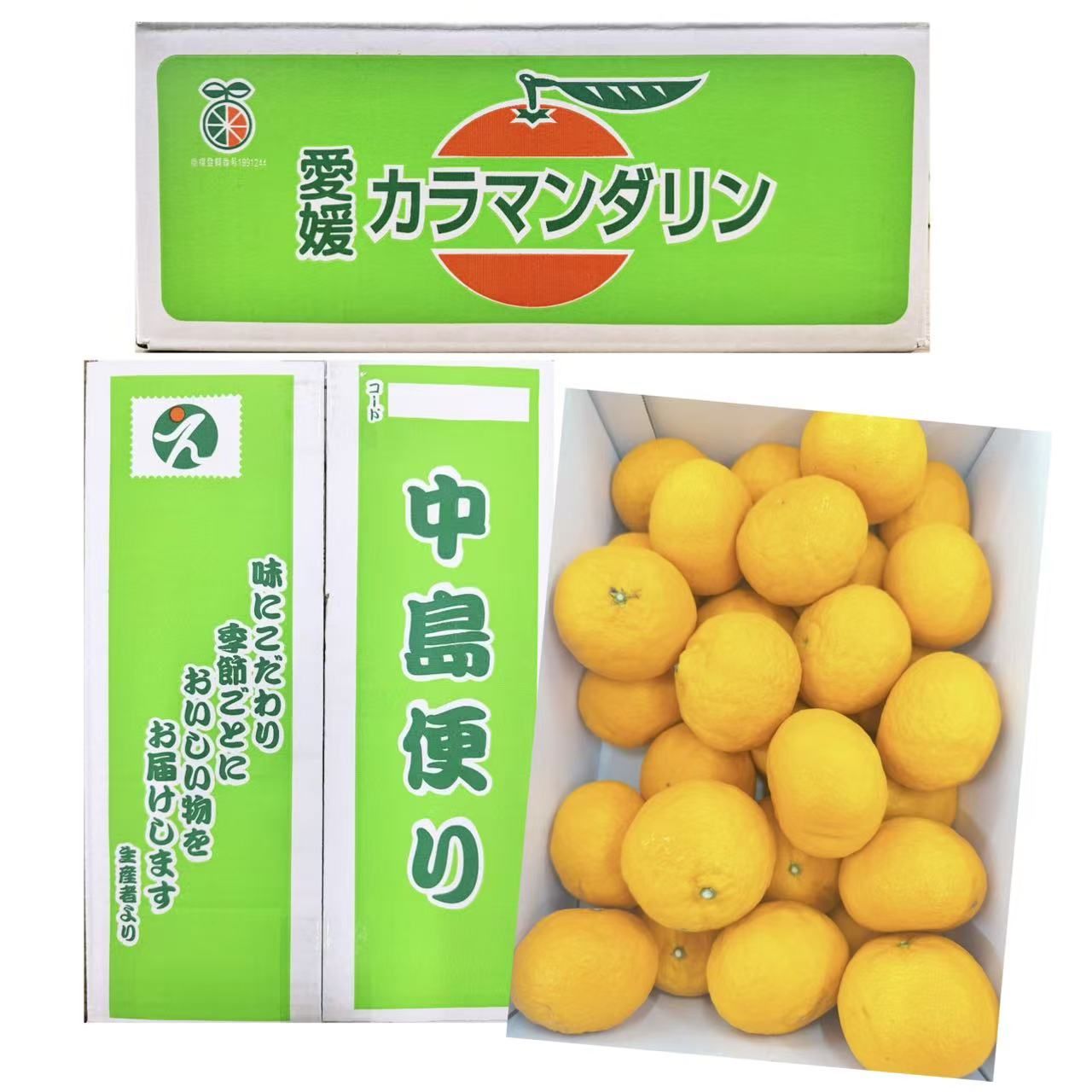 爱媛カラマンダリン蜜柑/1箱