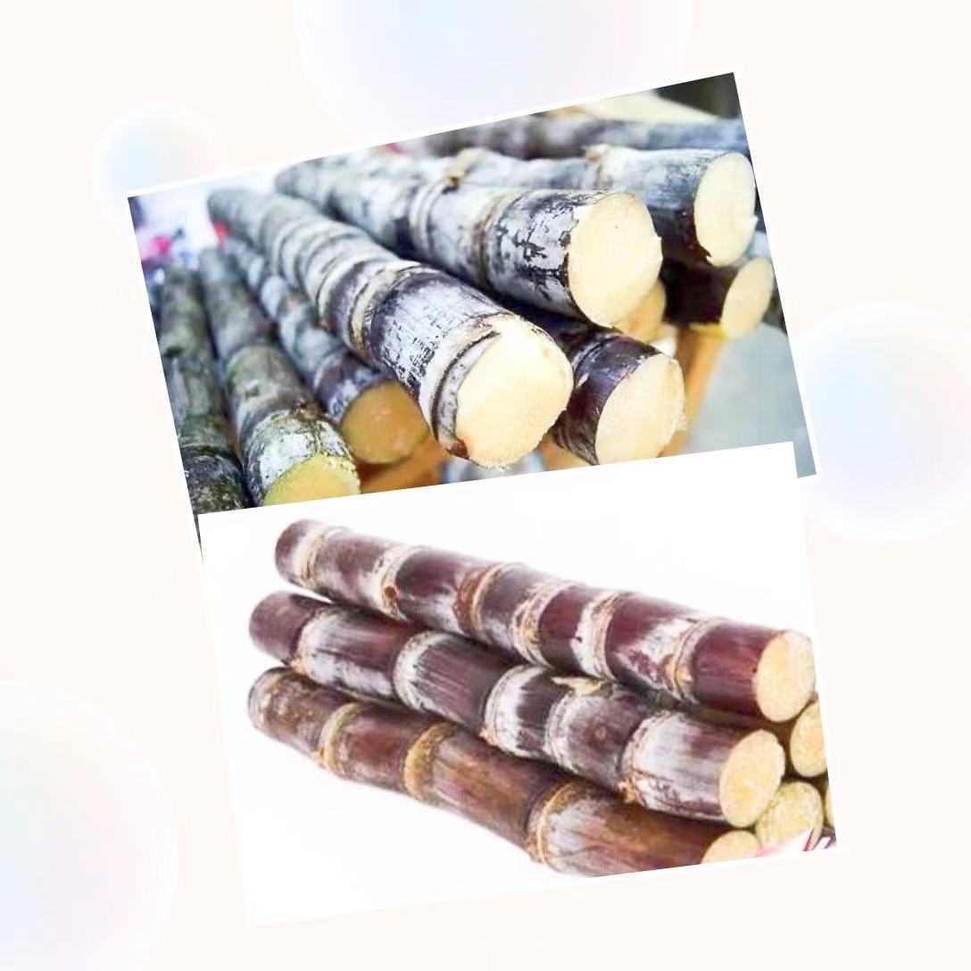 鲜甘蔗1包2KG