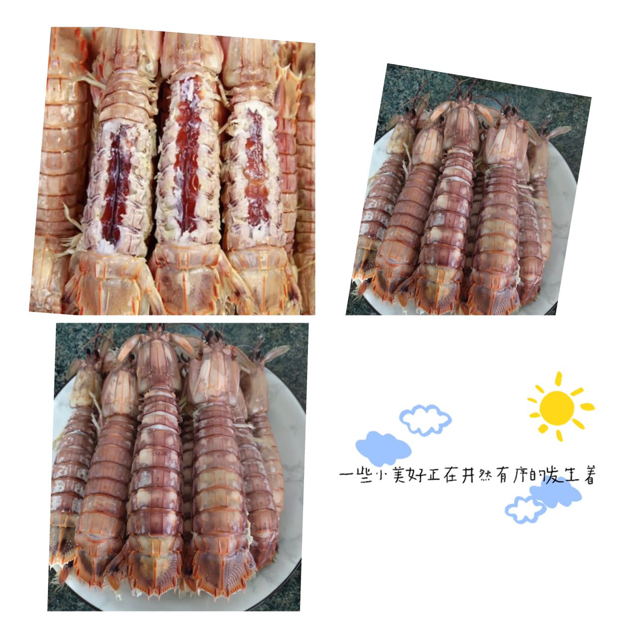 北海道皮皮虾1KG