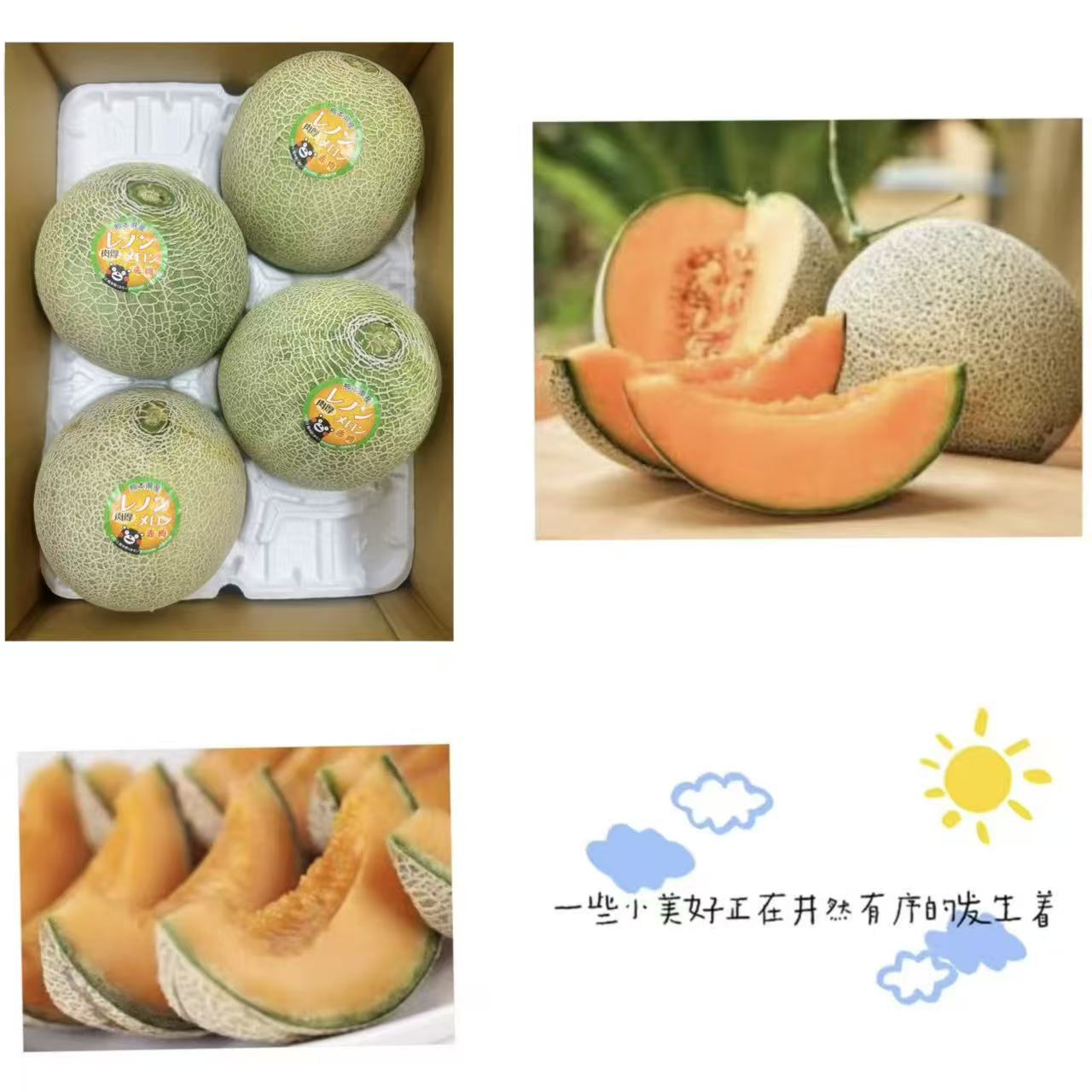熊本レノン赤肉メロン/1箱