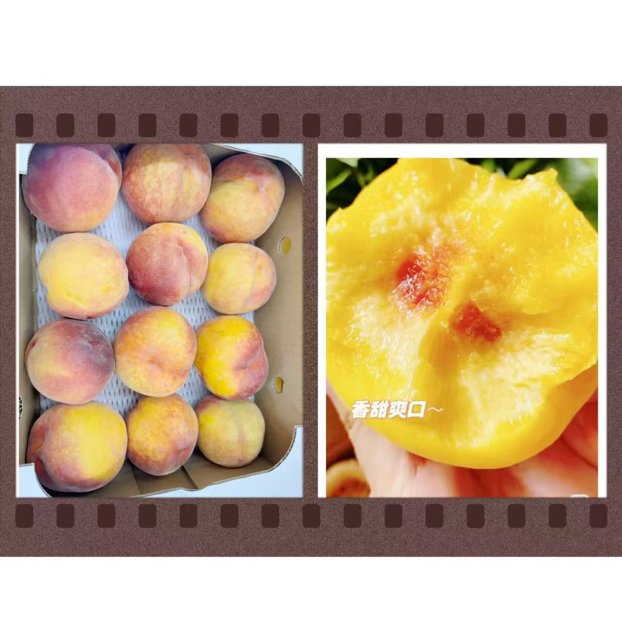 ワッサー黄硬桃1份4KG