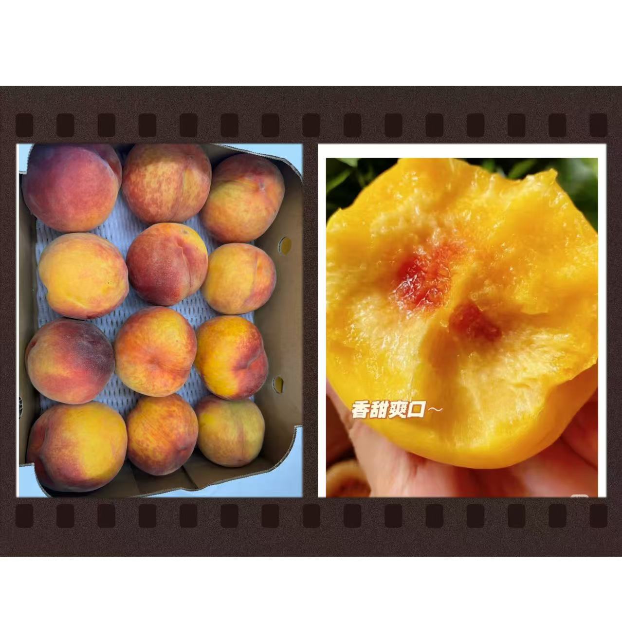 ワッサー黄硬桃1箱约4KG