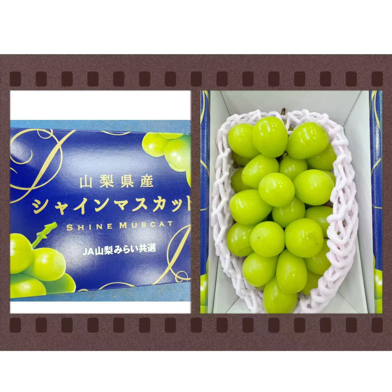 山梨礼盒晴王1盒