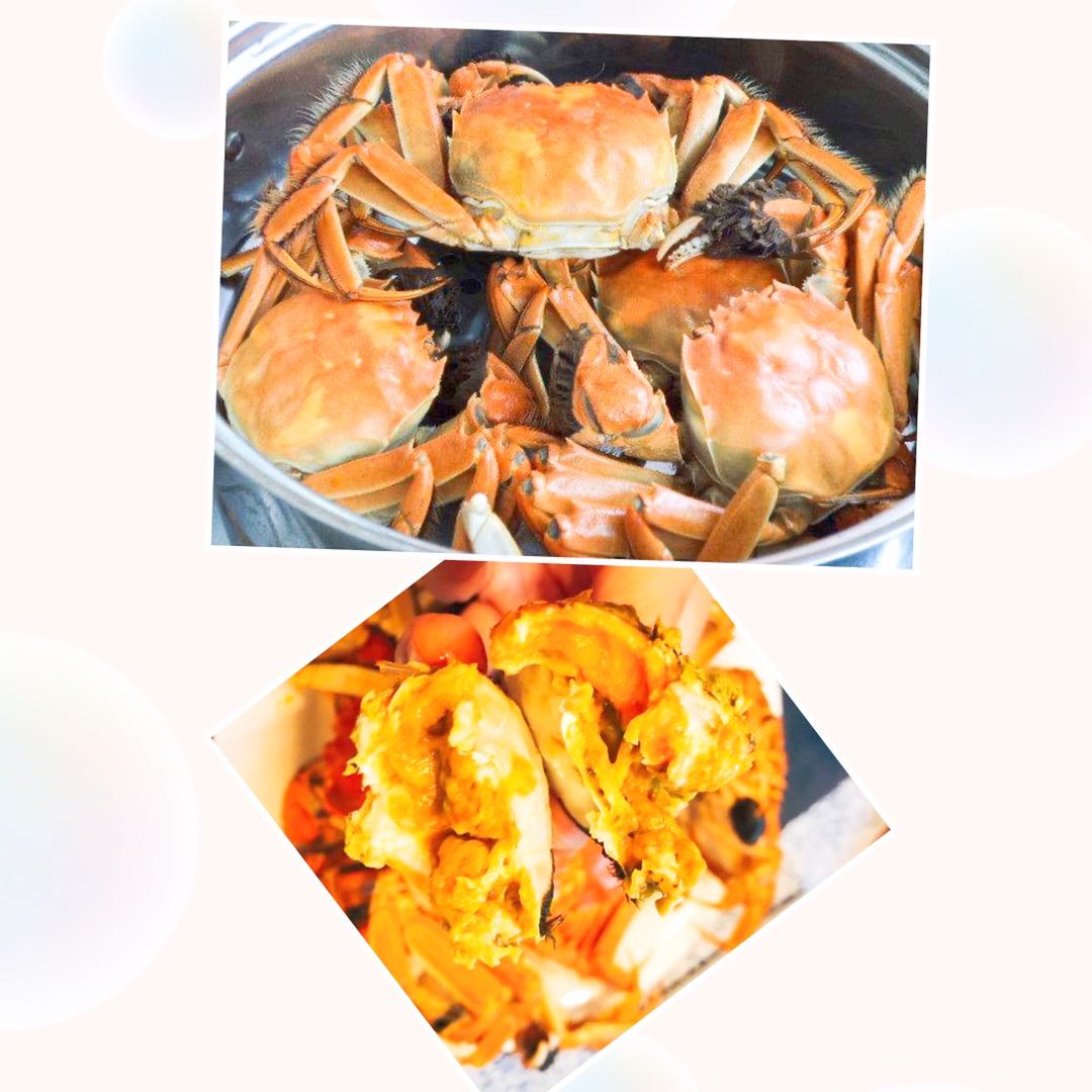 北海道大闸蟹母1KG