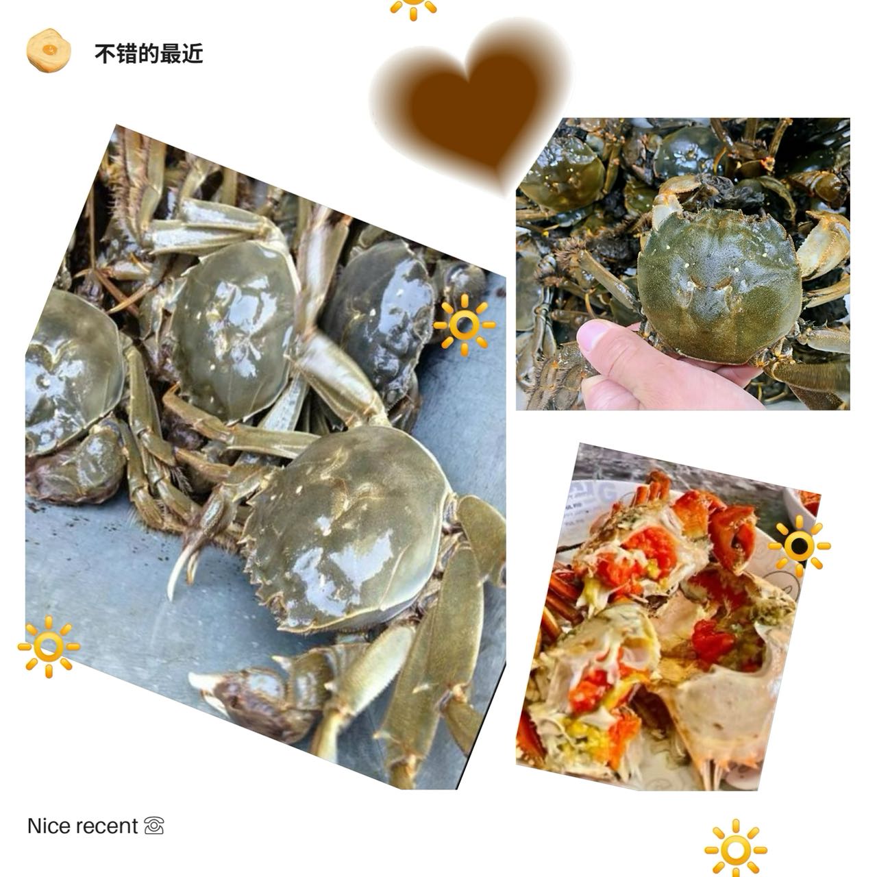 德岛河蟹母/1KG
